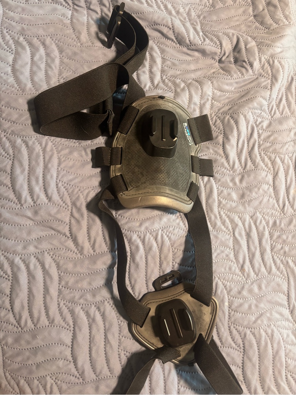 GoPro dog harness- adjustable